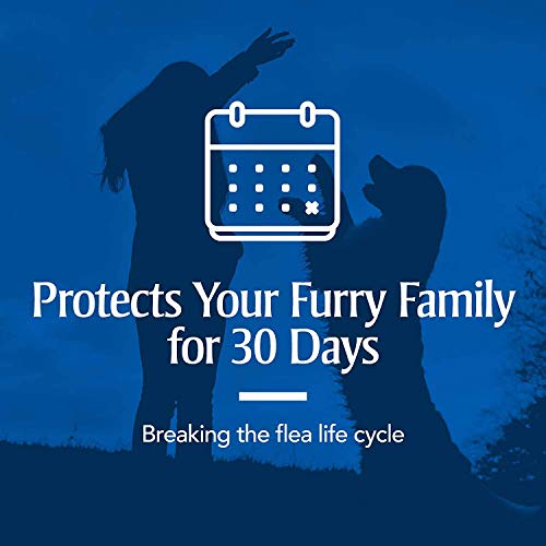 PetArmor Plus Flea and Tick Prevention for Dogs, Dog Flea and Tick Treatment, Waterproof Topical, Fast Acting, X-Large… - Image 3