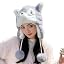 Grey Husky for Adults