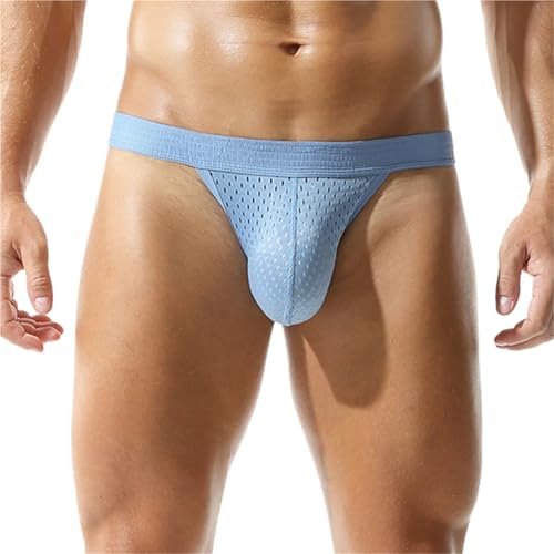 Men Underwear Sexy Mesh Breathable Briefs Low Rise Underpants Mens Sexy Bulge Pouch Underwear Male Ropa Interior Hombre(Light Blue,Large)