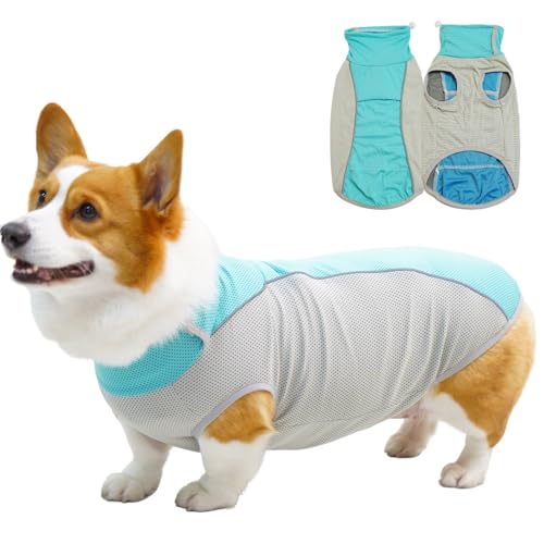 AttRex  t  N[xXg ŔG炷 pxXg Ђ ڐG⊴   ʋC hbOEGA ėp ^Ngbv ^ ΍ MǑ΍ Ăh o U ybgpi (3XL,O[)