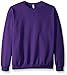 Fruit of the Loom Men's Fleece Crew Sweatshirt, Purple, Small