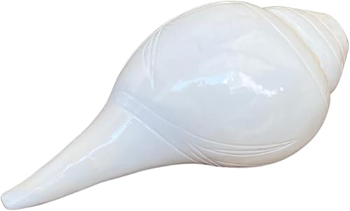 NAISHA Shankh soplador para Pooja - Concha de caracola soplable - Abhimantrit Dakshinavarti Valampuri Sangu Vamavarti Dattatreya - Ritual Puja