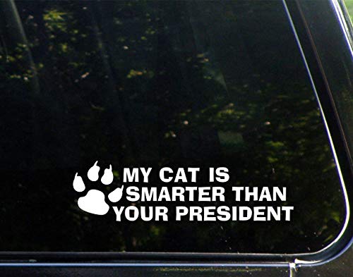 Diamond Graphics My Cat is Smarter Than Your President (8-3/4