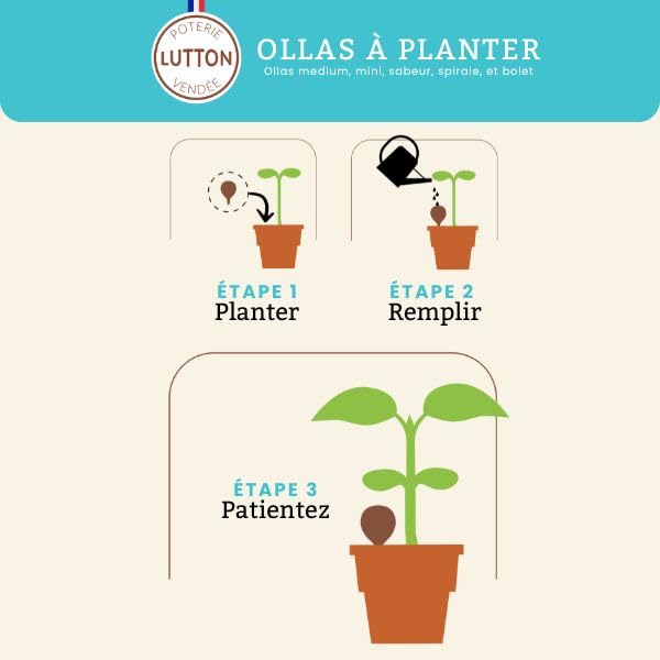 Ollas Lutton Olla Terre Cuite à Planter 40cl| Arrosage Autonome