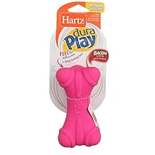 Hartz DuraPlay Dog Toy Bone, Medium, Assorted Colors, Bacon Scented 2 Pack Bundle