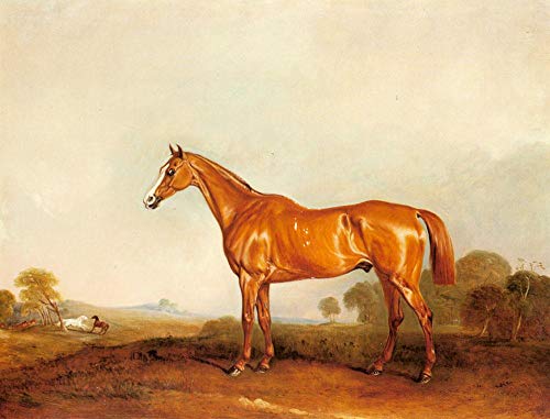 Peinture à l'huile sur toile John Ferneley Snr faite main