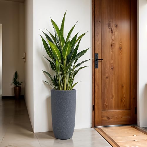 Image of YUCCABE ITALIA FOXB TPC 30 INCH Pots for Plants Highly Durable Polymers Lightweight Indoor Outdoor Plant Pots, Flower Pot Gamla Tree Planter Container Planters for Living Room, Balcony, Garden