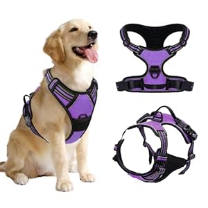 DKDDSSS Harnais Chien Harnais pour Chien, Harnais Anti Traction pour Chien Harnais Chien Anti Traction, Arnet pour Chien Harnais pour Chien No Pull, Harnais pour Moyen Chien, Facile à Mettre, Violet M