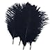 Shekyeon Black 10-12inch 25-30cm Ostrich Feather Home Decoration DIY Craft Pack of 10