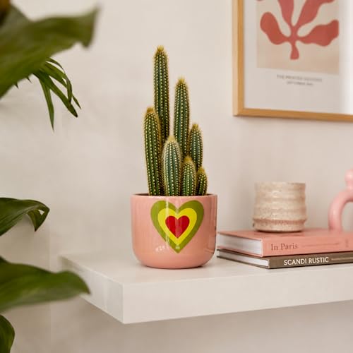 Image of Urban Plant Blush Pink Heart Handcrafted Terracotta Planter | Colourful Indoor Clay Pot for Living Room | Artisan Decorative Flower Pot for Plant Lovers | Drainage Hole | 4.5 Inch