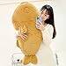 Ditucu 11.8 inch Taiyaki Cat Plush Pillow Cute Kitten Inside Fish 2 in 1 Soft Stuffed Animal Plushies Toys with Outfit Sleeping Doll Gifts for Girls Boys