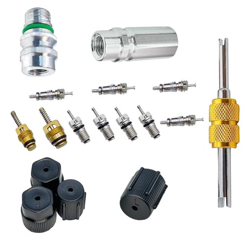 winterrock 17PCS Car Air Conditioning Valve Core Kit, R12 to R134a Teflon Seal Refrigeration Conversion Kit for Low & High Pressure Port, with Removal Tool, Auto AC System Charging Port Seal Cap Kit