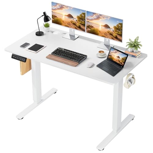 48 x 24 in Electric Standing Desk - Memory Height Adjustable Ergonomic Sit-to-Stand Rising Computer Table Gaming Workstations with 2 Hooks and Wire Hole for Home Office, White