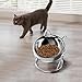 Elevated Cat Bowl Pet Feeding Dish Pet Dog Feeder 16° Tilted Bowl