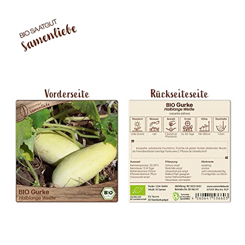 Samenliebe BIO Gurken Samen Halblange Weiße Salatgurke weiß 10 Samen samenfestes Gemüse Saatgut für Gewächshaus Freiland und Balkon BIO Gemüsesamen - Image 4