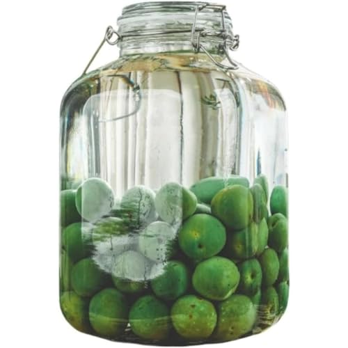 FiveLn ~ r KXт ʎт 2L/3L/4L/5L eʐHiۑe KX r e LjX^[ R[q[ t ۑe ʎ Â (5L,lp^) [sAi]