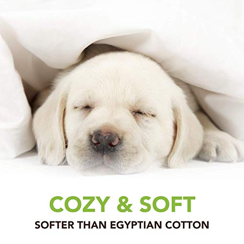 Cosy House Collection Luxury Rayon Derived From Bamboo Blend Cotton 3 Piece Bathroom Towel Set – Soft, Absorbent And Eco-Conscious – Includes 1 Bath Towel, 1 Face Towel/Washcloth, 1 Hand Towel - Aqua #TOP2