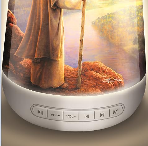 Amazon.com: The Bradford Exchange Greg Olsen in God's Hands Sound