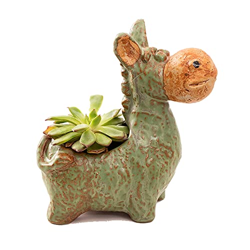 SELLONWANELO Maceta de cerámica vintage para plantas suculentas
