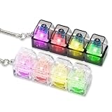 JoyJoyful 2 Stück Tastatur Fidget Spielzeug, Fidget Toys für Erwachsene Kinder mit LED Licht, Fidgets Tastatur Schlüsselanhänger, 4 Farbigen Keyboard Fidget mit Keychain Tasten Stressabbau (2 Stück)