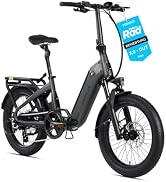 DERUIZ Peridot E-Bike Klapprad 20 Zoll Tiefeinsteiger, 3,0 Zoll Fat Tires, 250W Heckmotor 55 Nm, 48V 500Wh Akku bis 143 km, Shimano 8-Gang, hydraulische Scheibenbremsen, StVZO, Damen und Herren Sport & Freizeit