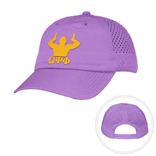 Gorra snapback Desert Cactus Omega Psi Phi miniatura 1
