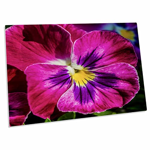 Protector de Escritorio con Diseño Floral 23x16 pulgadas