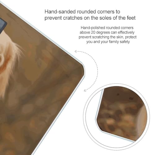 Báscula digital Golden Retriever para peso corporal miniatura 4