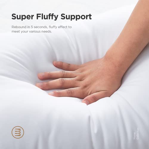 Acanva Decorative Rectangle Throw Pillow Inserts Hypoallergenic Form Stuffer Cushion Sham Filler, 1 Count (Pack Of 1), White #TOP3