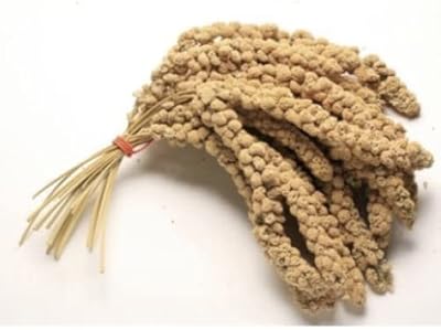 Maltbys' Stores 1904 Limited Millet Sprays x 10 Premium Cage Bird Food Seed