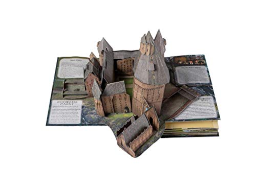 Harry Potter. Hogwarts. il libro pop-up