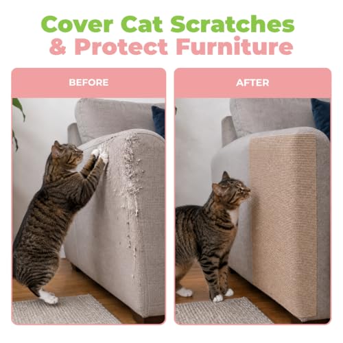 Image of Best Pet Supplies Catify Cat Scratcher, Fun Interactive Scratchers, Posts, Poles, Claw Safe, Furniture Saver Indoor Play Support Natural Cat Behaviors Heavy Duty - Beige Mat - L: 39 inch
