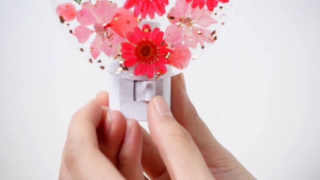 Image of Glooglitter Pressed Flower Night Light Plug in-Handmade Dried Floral Wall Night Light, Soft Glow Decorative Nightlight for Hallway Bedroom Nursery Bathroom, Vintage Botanical(Red,Flower)