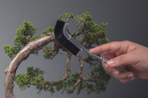 Pincel Curvo para Bonsái Wazakura 23.5 cm Negro miniatura 6