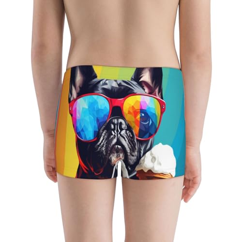 Boys' Cotton Boxer Brief Soft Underwear-Rainbow Bulldog Sunglasses3