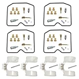 Das Vergaser-Reparaturset ist einfach zu bedienen. Reparieren Sie Ihren Vergaser, sparen Sie Zeit und Geld und steigern Sie die Leistung Ihres Motorrads.