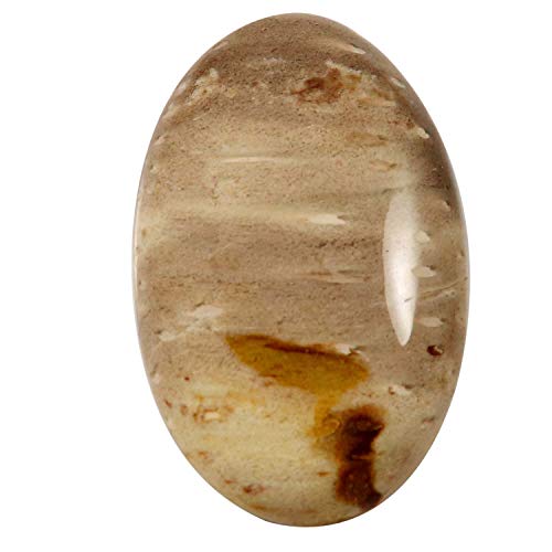 Agate de racine de palmier véritable pierre ovale 30 carats Qy78-B09HMSWWMRNAMZ