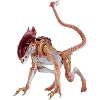NECA - Figura de acción Aliens Kenner Tribute ULT Panther Alien 7