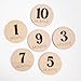 Baby Monthly Milestone, Wooden Baby Milestone Signs, Monthly Milestone Wood Discs, Baby Milestone Discs (3D Black)