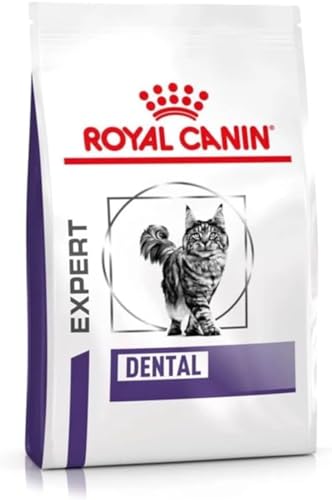 Royal CANIN Expert Dental | 1,5 kg | Alimento Completo para Gatos Adultos | para sensibilidades de la cavidad Oral | para apoyar la Salud Dental | Complejo para Las Bolas de Pelo
