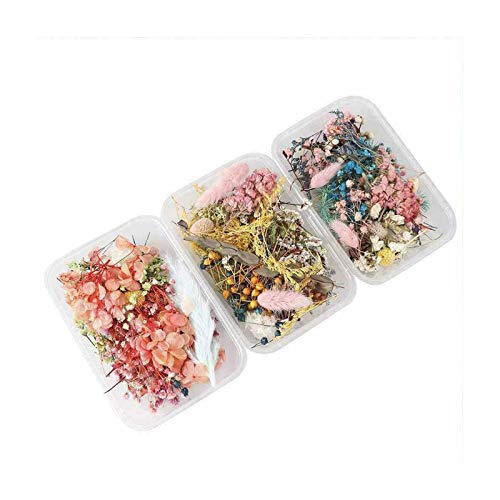 箱に入ったドライフラワー