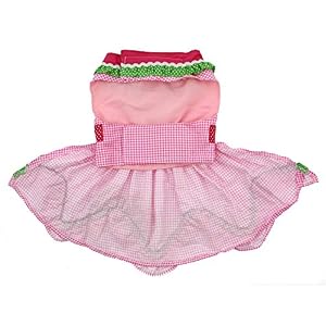 DOGGIE DESIGN Watermelon Dog Harness Dress with Matching Leash Sizes S - M (Medium) DOGGIE DESIGN Watermelon Dog Harness Dress with Matching Leash Sizes S M Medium