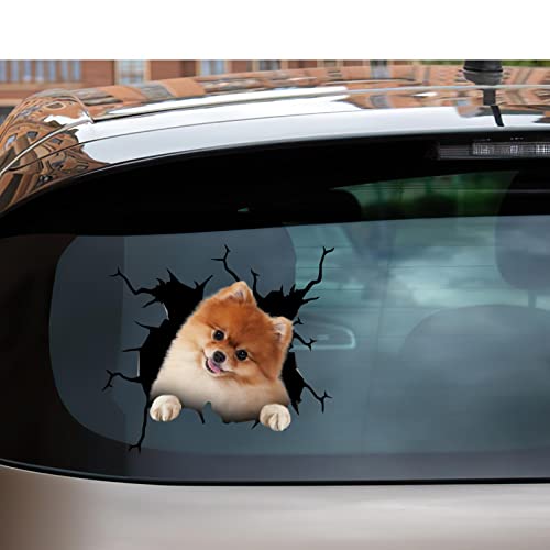 Pomeranian Stickers Decals Pomeranian Dog Gifts Funny Warning Car Sticker for New Driver 3D Trucking Aufkleber