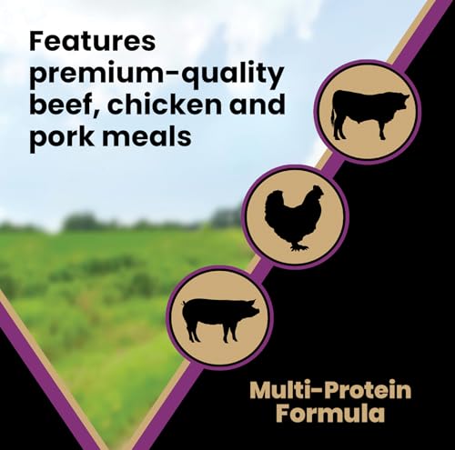 Victor Super Premium Dog Food – Professional Dry Dog Food – Super Premium Dog Food with 26% Protein, Gluten Free - for High Energy and Active Dogs & Puppies, 15lbs