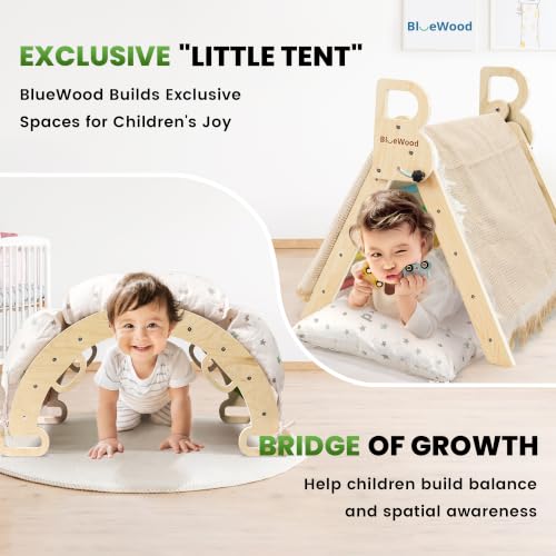 Image of BlueWood Pikler Triangle Set with Cushion, Wooden Climbing Toys for Toddler | Foldable 9-in-1 Montessori Philosophy Toddler Climbing Toys Indoor with Reversible Ramp, Arch and Ladder - Colorful