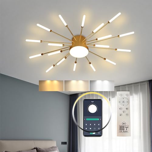 DELIPUSHI Flower Shape Ceiling Light,Golden 18 Lights 30W APP Remote