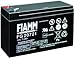 Produktbild FIAMM- Blei-Gel Akku Batterie 12V / 7.2Ah / FG 20721