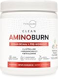 Type Zero AminoBurn - Natural Pre Workout + BCAA (Tropical Punch | 30serv) Sugar Free BCAAs Amino Acids Supplement Keto Preworkout, Amino Preworkout and Post Workout Drink