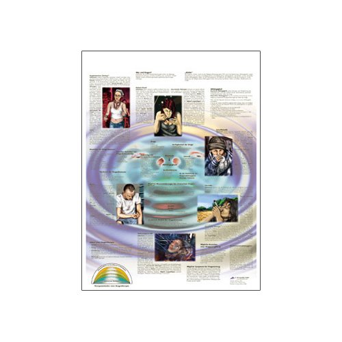 Image of 3B Scientific VR3781L Glossy UV Resistant Laminated Paper Drogodependencia Anatomical Chart (Drug Dependence Anatomical Chart, Spanish) Poster Size 20 inch Width x 26 inch Height