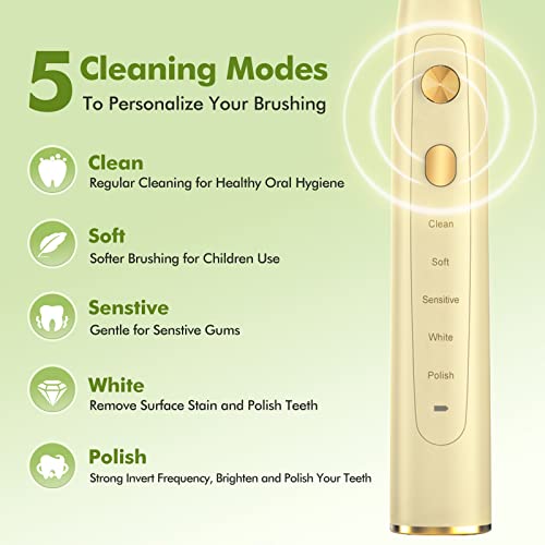Sarmocare Sonic Electric Toothbrush With 8 Brush Heads For Adults, Rechargeable Electric Power Toothbrushes, 5 Modes, 39600 Vpm, Smart Timer, Wall Charger Adapter & Travel Case Included, Yellow #TOP2